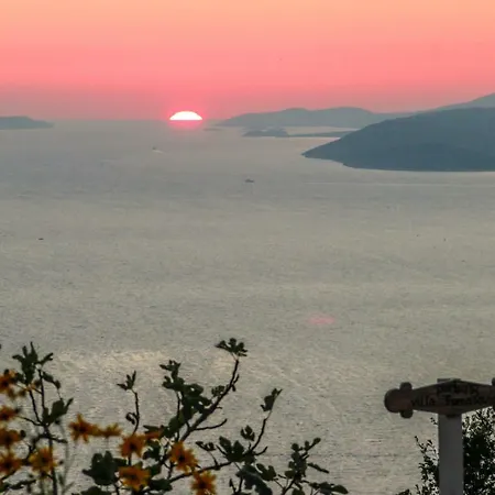 Tomasovic * Podstrana