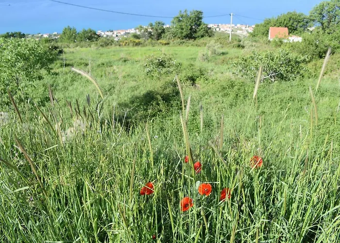 Tomasovic Podstrana